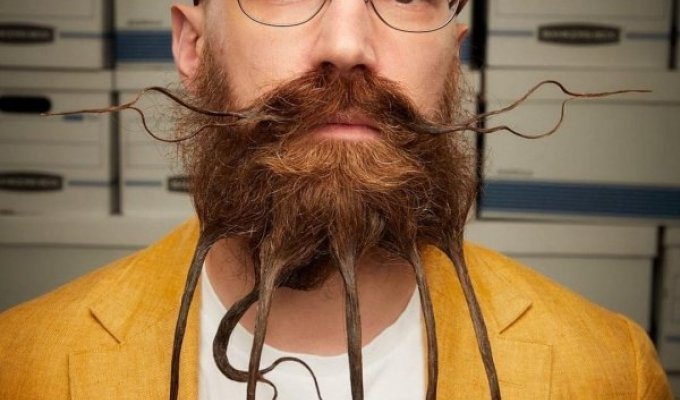 Participants of the championship of the most unique beards and mustaches (14 photos)