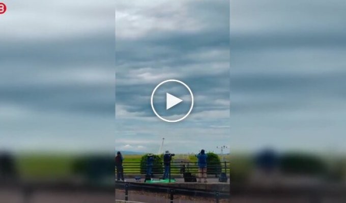 Когда охотился за идеальным кадром, а главное пропустил