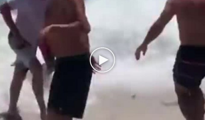 Разозленный тюлень прогоняет с пляжа людей