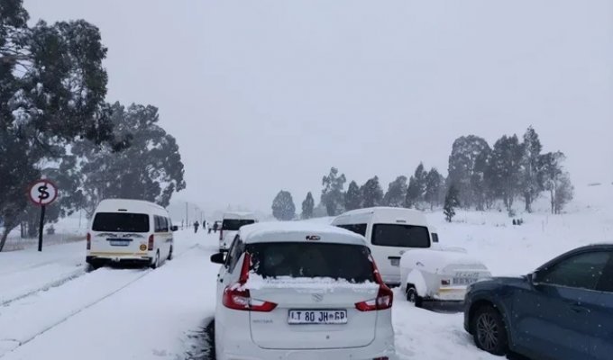 Unexpected snow fell in South Africa (4 photos + 5 videos)