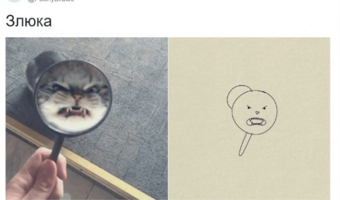 Художники плохо нарисовали животных, но получилось очень забавно (17 фото)