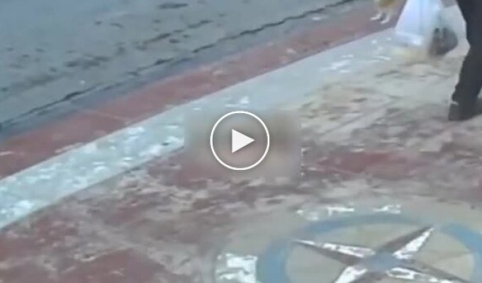 Мужчина пришел на помощь коту