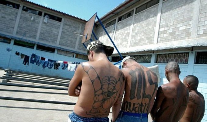 Камеры членов банды MS-13 в Гондурасе (7 фото)
