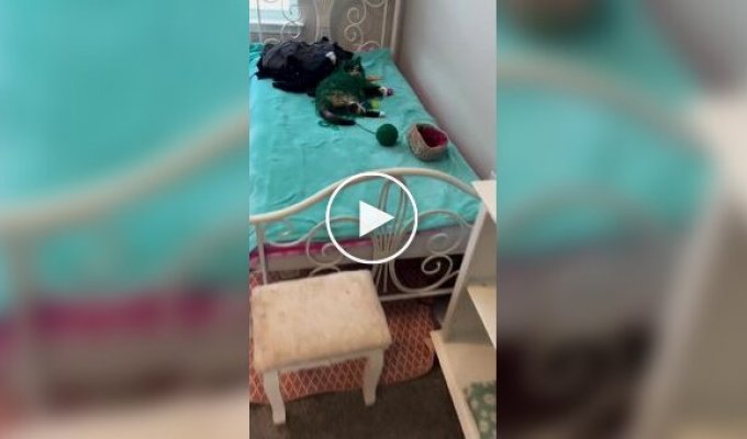 Занадто заплутана історія