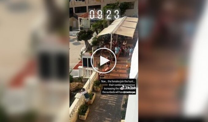 Туристы устроили борьбу за шезлонги у бассейна