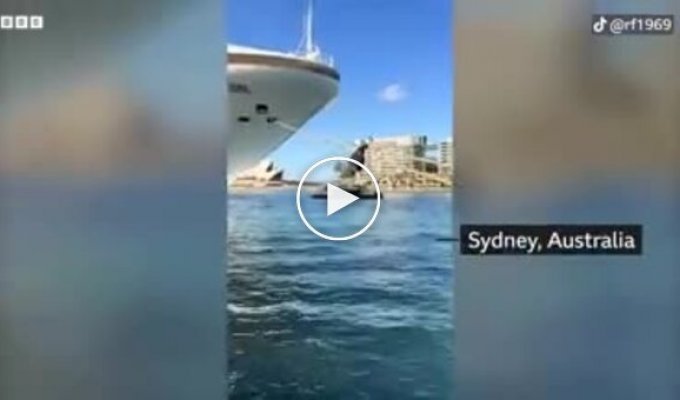 A Man Tried to Climb a Cruise Ship on a Rope