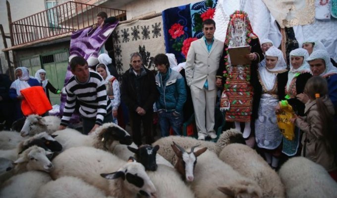 Как проходит традиционная свадебная церемония в Болгарии (17 фото)