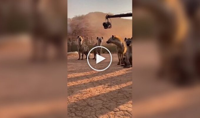 Как снимали бы «Короля Льва» без CGI: нейросеть показала забавную версию классики