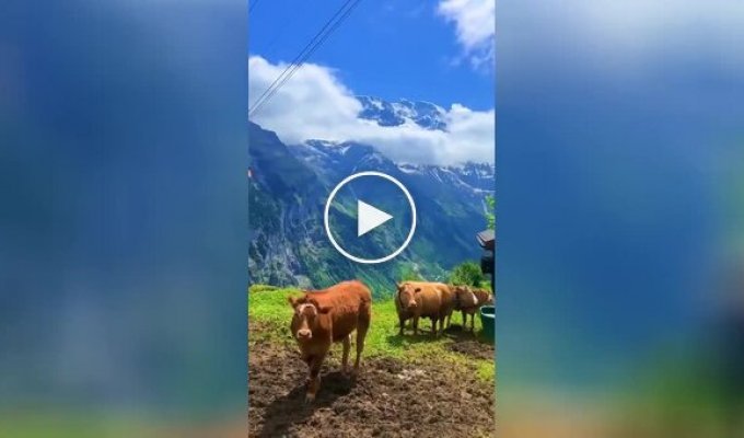 Прекрасная природа Швейцарии