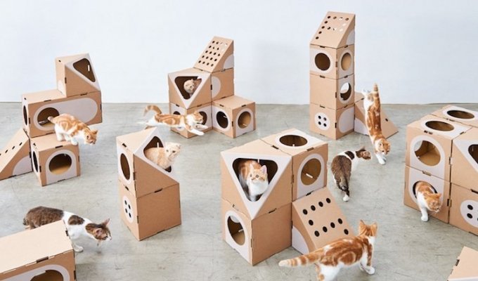 Cat's joys: modular houses for cats made of cardboard boxes (12 photos)
