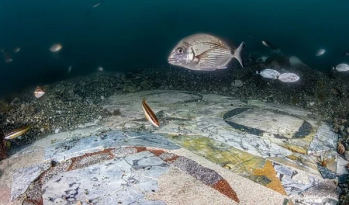Archaeologists have shown the marble floor of a sunken Roman villa (3 photos)