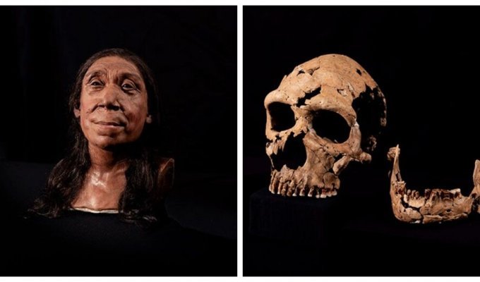 Scientists have recreated the appearance of a Neanderthal woman based on her skull (7 photos)