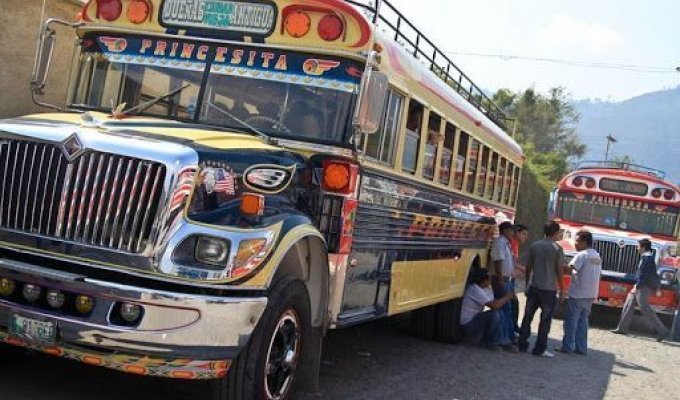 Куриные автобусы в Латинской Америке. (22 Фото)
