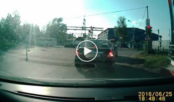 Бездушный водитель выкидывал котят из автомашины на дорогу