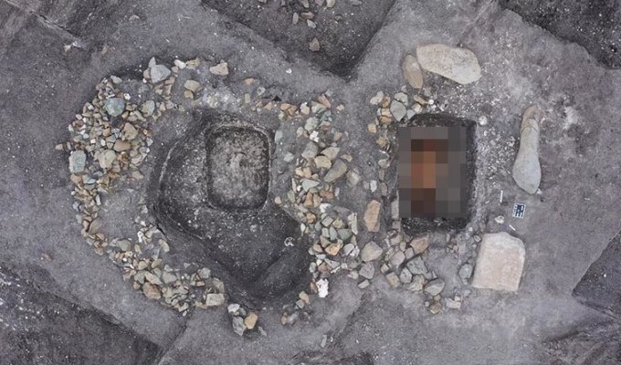Перші в світі вершники пронеслися по Європі приблизно 5000 років назад (6 фото)
