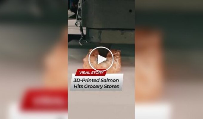 3D-printed salmon Now on sale in the USA