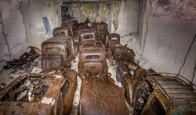 Бельгиец обнаружил кладбище автомобилей времен Второй мировой войны (11 фото)