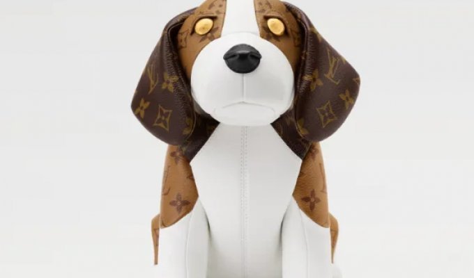 Сумка в виде собаки за 5 800 долларов (3 фото)