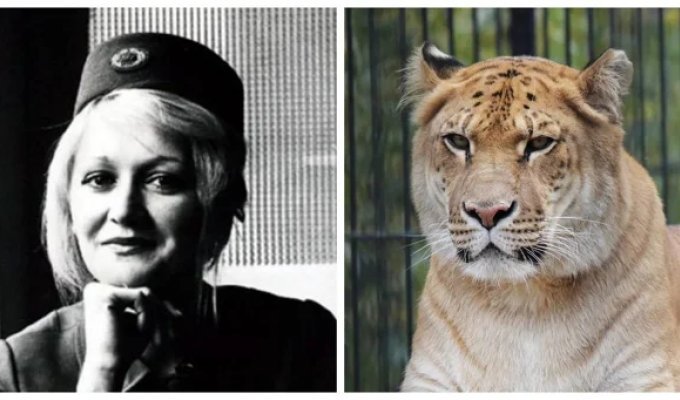 10 фактов, которые заставят пошатнуться ваши привычные представления о мире (11 фото)