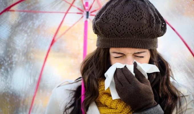 Autumn Alert! 10 Seasonal Changes Impacting Our Health (11 Photos)