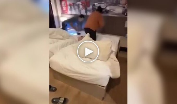 Кобра заползла в номер отеля в Таиланде