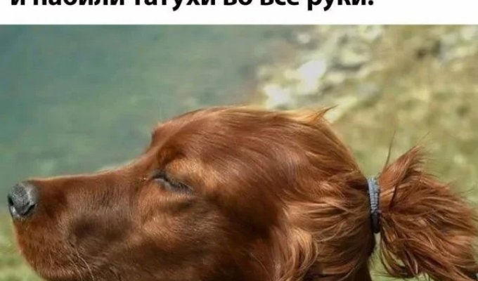 Лучшие шутки и мемы из Сети. Выпуск 656 (136 картинок)