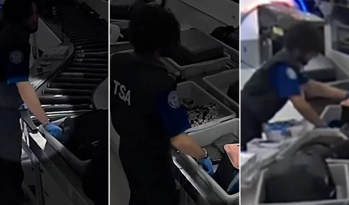Airport security officers caught stealing (7 photos + 1 video)