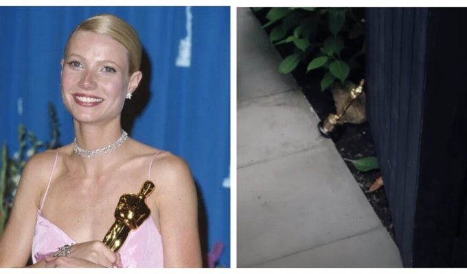Gwyneth Paltrow's Oscar is not gathering dust idle (8 photos + 1 video)