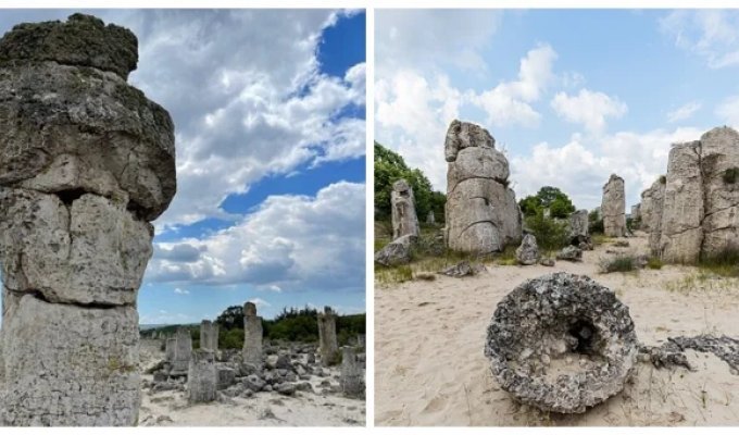«Каменный лес» в Болгарии, который старше пирамид (19 фото + 1 видео)