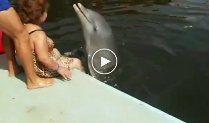 Дельфин и настоящая русалка