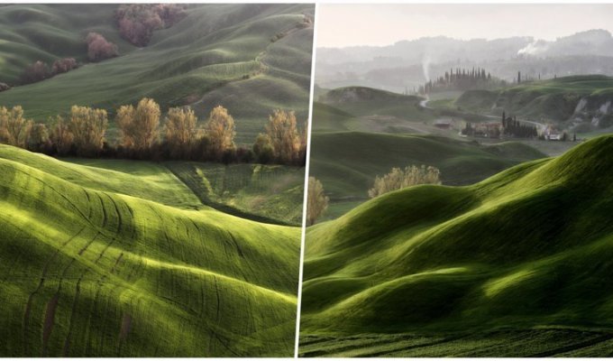 Живописные поля Тосканы, будто сошедшие с картин (23 фото)