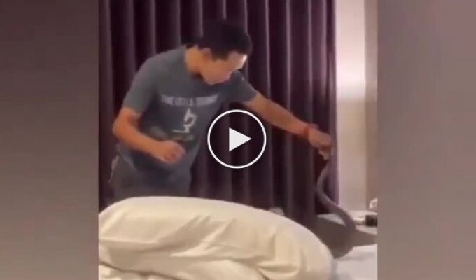 A snake crawled into a Phuket hotel room and woke up a tourist