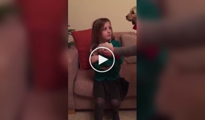 Доброе видео в котором девочке подарили настоящего друга