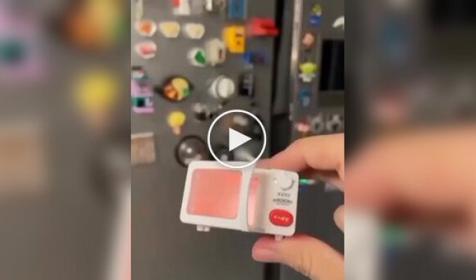 The Japanese have brought refrigerator magnets to a new level