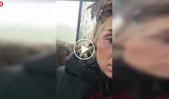 Необычный случай: утенок спрятался в ухе женщины с туннелем