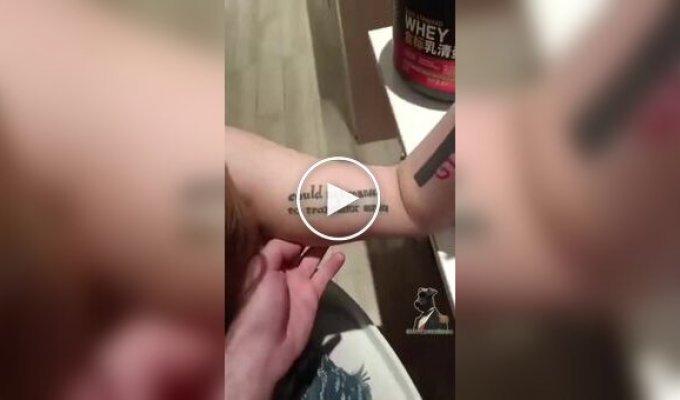 Хотела мотивационную тату — получила ошибку переводчика