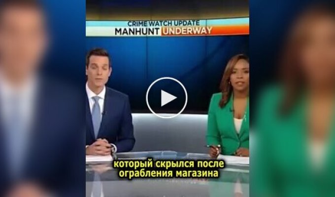 Ведучі новин не змогли стримати сміх