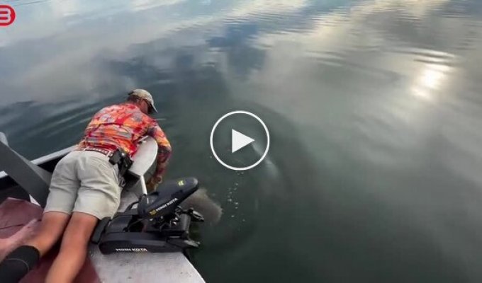 Рыбалка закончилась встречей с крокодилом