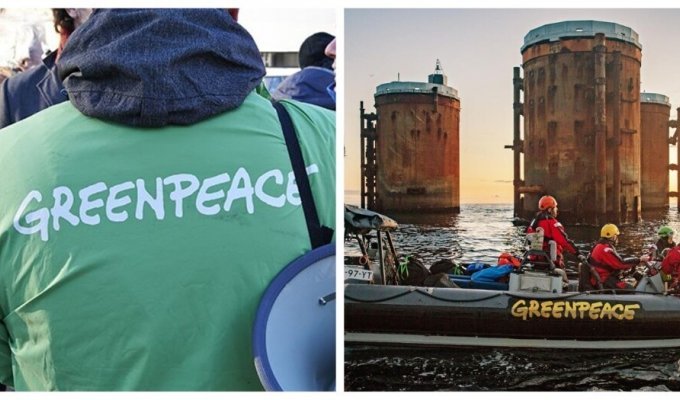 Greenpeace загрожує найбільший за останні півстоліття судовий позов (5 фото)