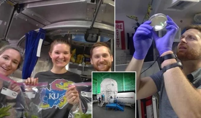 45 days on a simulated Mars: how it was (6 photos)