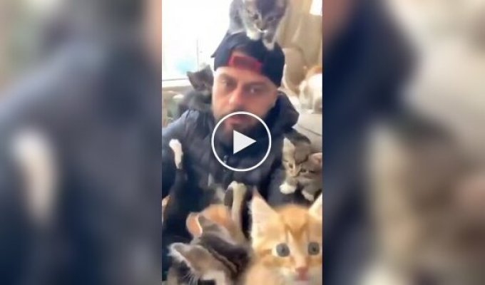 На мужчину напала стая домашних хищников
