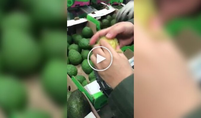 The police caught an avocado with a surprise