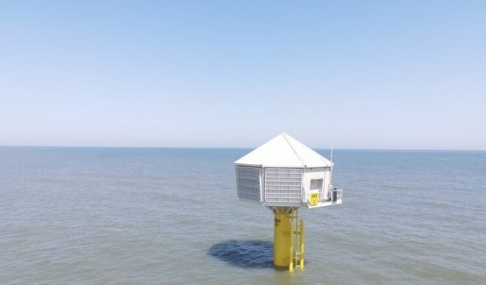 Giant birdhouses built off the coast of Great Britain (5 photos)