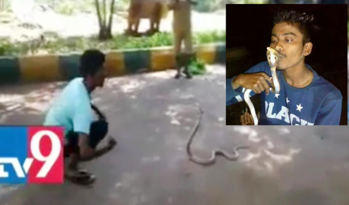 Подросток из Индии скончался после попытки поцеловать кобру для селфи (4 фото + 1 видео)