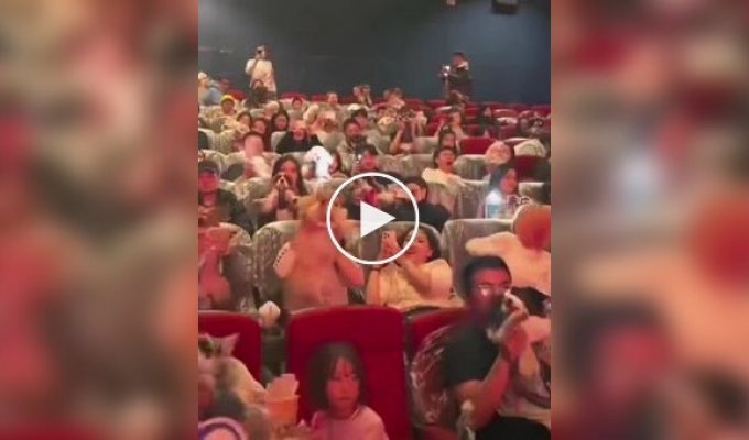 В кинотеатрах в Китае зрителей пускали в зал с собаками