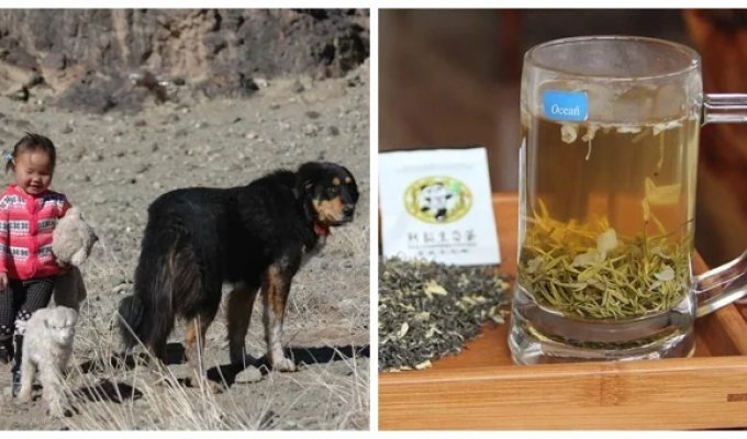 10 фактов из разных областей знаний, которые откроют доступ к тайнам мира (11 фото)