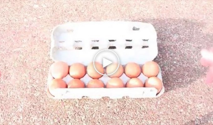 Как готовят яичницу в Австралии