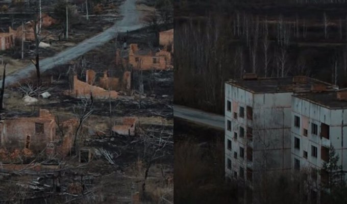 В Сети появилось видео последствий пожаров под Чернобылем (11 фото + 2 видео)