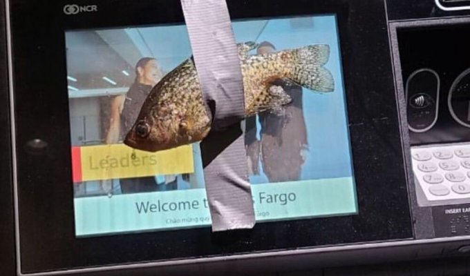 In the USA, police arrested a “fish bandit” (5 photos)
