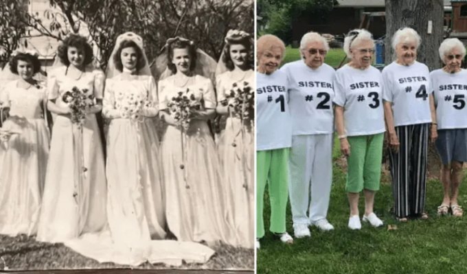 Чего только не видели: шесть сестер побили мировой рекорд, прожив в общем 571 год (2 фото + 1 видео)